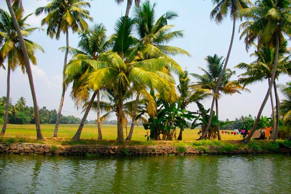 Croisière dans les Backwaters - Kerala - Inde