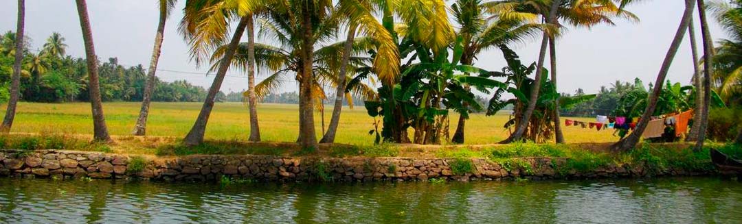 Top Image du Voyage Qi Kong et Ayurveda - Inde Kerala