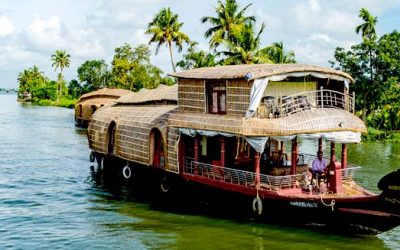 Voyage ayurvédique en Inde du Sud (Kerala)