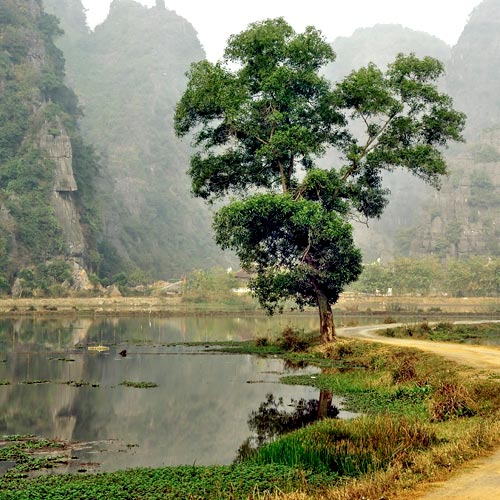 Vietnam 15 jours - Baie terrestre de Hoa Lu
